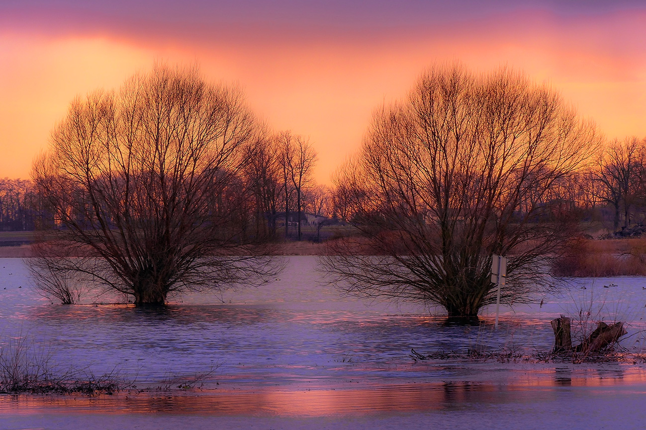 Wiosna, wiosna, wiosna ach to ty?