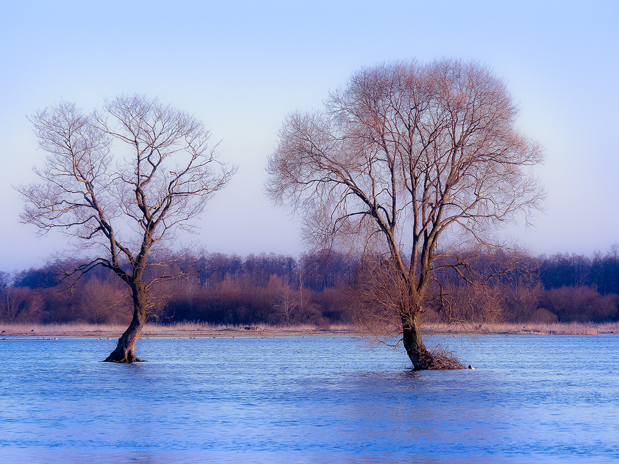 Czy wiecie czym zajmuje się Inspekcja Ochrony Środowiska?